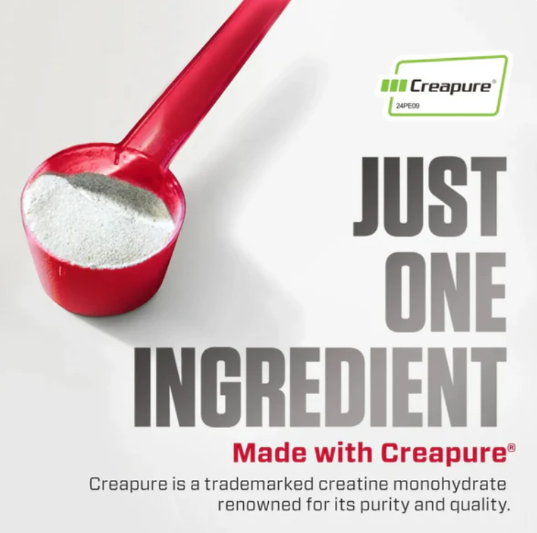 CREATINE MONOHYDRATE DYMATIZE (300 G)