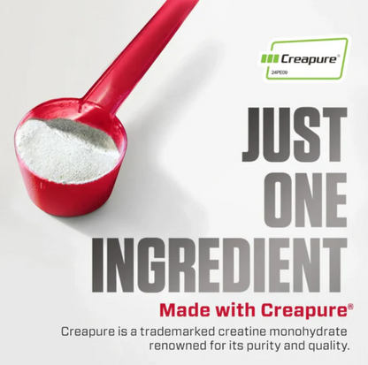 CREATINE MONOHYDRATE DYMATIZE (300 G)