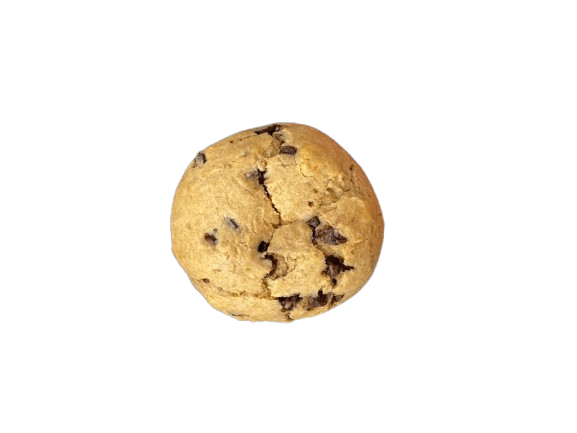 GALLETA DE PROTEÍNA -FIT BITES