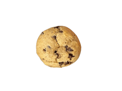 GALLETA DE PROTEÍNA -FIT BITES